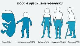 scale_1200.jpg