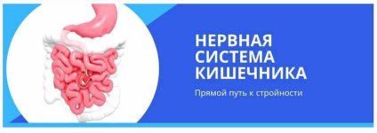 [Денис Штерев] [ShtDY] Нервная система кишечника. 14 дней к стройности.jpg