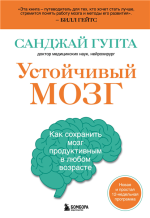 Устойчивый мозг.png