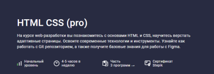 [Stepik] [Web Hacker] HTML CSS (pro) (2024).png