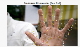 Screenshot (12).png