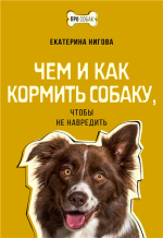 Чем и как кормить собаку, чтобы не навредить.png