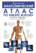 Популярный анатомический атлас по Ники.png