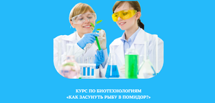  [Гульнара Баязутдинова] Курс по биотехнологиям для подростков Как засунуть рыбу в помидор (20...png