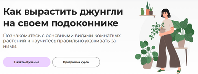  [Правое полушарие Интроверта] Елена Лейн - Как вырастить джунгли на своем подоконнике (2022)...png