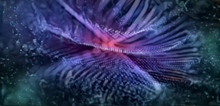 1677452243953.png 1677452243953.png