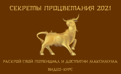 1677538595411.png