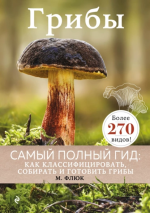 2. Гриб.png 2. Гриб.png