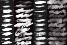 Untitled_Artwork-35 (1).jpg