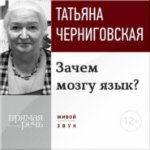 11662800.jpg