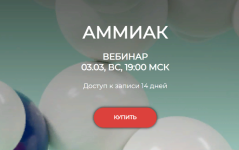 humberto-2-0-ammiak-2024.png