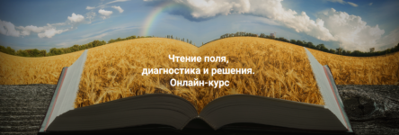 elena-veselago-chtenie-polja-diagnostika-i-reshenija-tarif-apgrejd-do-paketa-polnyj-2024.png
