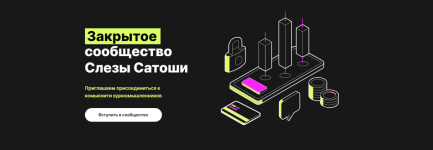 Закрытое сообщество Слезы Сатоши - 7 [Рафаэль Манвелян] (1).png