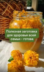 [Разнотравье] Медовые эликсиры (2024).JPG