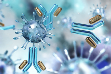 arxeh-na-perednem-krae-immunologii-immunnyj-otvet-i-pol-2024 (1).png