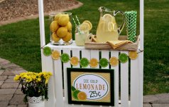 homemade-lemonade-stand-snacks-DIY-Lemonade-Stand-See-Vanessa-Craft.jpg homemade-lemonade-stand-snacks-DIY-Lemonade-Stand-See-Vanessa-Craft.jpg