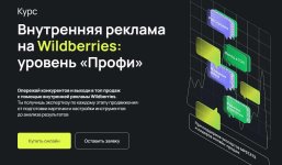 vnutrennjaja-reklama-na-wildberries-uroven-profi-tarif-c-kuratorom-viktorija-murashkina-anton...jpeg