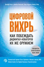 13. Цифровой вихр.jpg