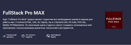 [Stepik] FullStack Pro MAX [Web Hacker].png