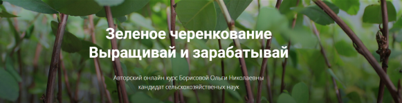 [Питомник растений Глория] Зеленое черенкование. Выращивай и Зарабатывай [Ольга Борисова].png