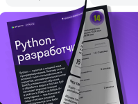[Skypro] Python-разработчик с нуля 3.0 (2023-2024).png