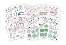 [ExpertPhotography] Quick Capture Cheat Sheets. Шпаргалки по быстрому захвату.png