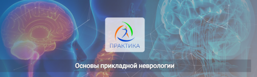 [Центр Практика] Основы прикладной неврологии [Мария Недре].png