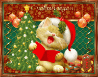 11111.gif