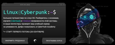 [CyberYozh] Linux Cyberpunk [Евгений Ивченков, Алексей Гришин].jpg