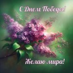 День победы 3.jpg
