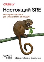 Настоящий SRE_ инжиниринг надежности для специалистов и организаций [Дэвид Бланк-Эдельман].jpg