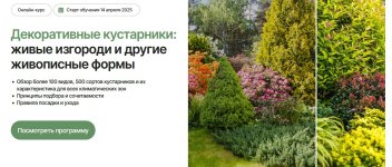 [Умный садовник] Декоративные кустарники_ живые изгороди и другие живописные формы [Тариф Опти...jpg