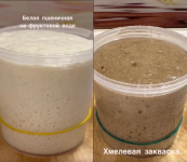 [Xleb.tartin] Курс по выведению заквасок.png