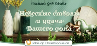1677803674813.png