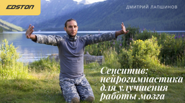 Скачать [Дмитрий Лапшинов] [edston] Сенситив нейрогимнастика для улучшения работы мозга (2023).png