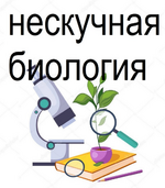 Скачать [Татьяна Марышева] Нескучная биология. 5-6 класс (2023).png