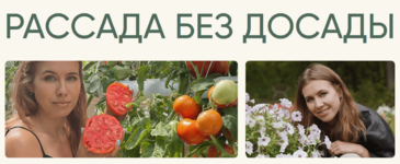 anna-akinina-rassada-bez-dosady-ovoschnaja-cvetochnaja-rassada-2023.png