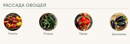 anna-akinina-rassada-bez-dosady-ovoschnaja-rassada-2023.png
