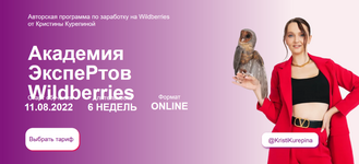 Скачать Кристина Курепина] Академия экспертов Wildberries. Тариф Премиум (2023).png