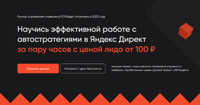 Скачать [Михаил Серпокрылов] Яндекс Директ за один вечер с ценой лида от 100 руб (2023).png