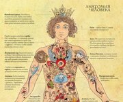 Скачать [Велимира] Оккультная анатомия. Часть 1 (2023).jpg