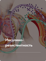  [Елена Ержанова] Лечебный протокол Инсулинорезистентность.Тариф без обратной связи (2023)...png