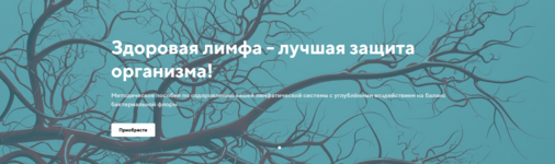 svetlana-kalmykova-zdorovaja-limfa-luchshaja-zaschita-organizma-2023.png