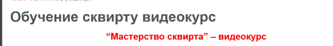maksim-milkin-masterstvo-skvirta.png