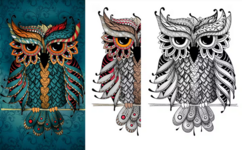 envato-market-sova-v-stile-dudling-raskraska-dlja-vzroslyx-2023.png