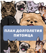1684413343051.png 1684413343051.png