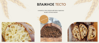 ivan-lokis-tajny-vlazhnogo-testa-tarif-samostojatelnyj-2023.png