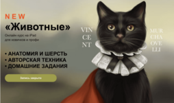 1684789032305.png
