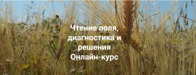 1685021517011.png