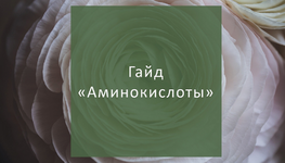 elena-suxanova-gajd-aminokisloty-2023.png